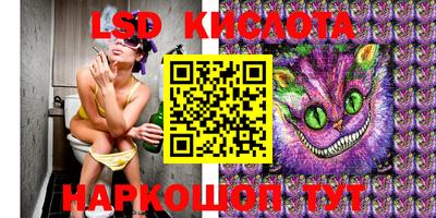 прущие грибы Нягань